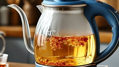 China Top Wholesale OEM Electric Glass Kettle Options for Your Kitchen?