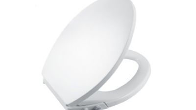 What is the Best Pink Toilet Seat for Your Bathroom?