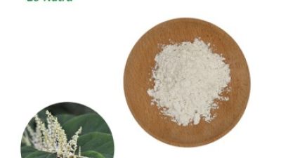 Resveratrol-Powder.jpg