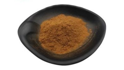 Cinnamon extract powder (1).jpg