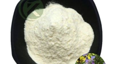 Carnosic Acid Powder .jpg