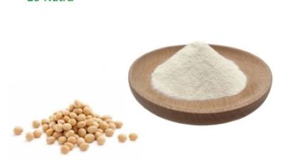6.1-Hydrolzyed Soy Protein.jpg