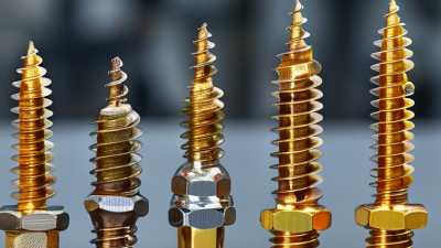 How to Choose the Best Titanium Decorative Screw for Your Projects?
