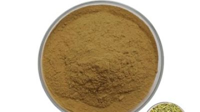Sophora Japonica Extract 1.jpg