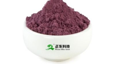 Mulberry Powder(1)