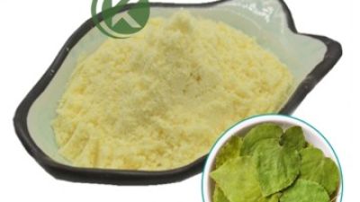 Epimedium-Extract-Icariin-powder.jpg
