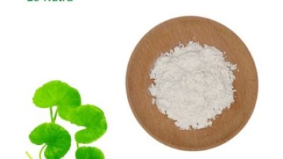 Centella-Asiatica-Extract.jpg