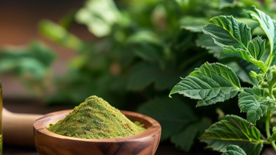 Top Ashwagandha Extract Benefits for Global Buyers?