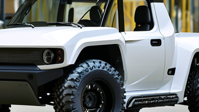O que é um fornecedor OEM personalizado de microcaminhões elétricos?