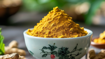 Top 10 des sources de vente en gros de poudre de baicaline en Chine à explorer ?