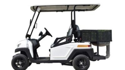 2026 Top Electric Golf Cart Trends for Global Buyers?