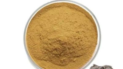 Coriolus Versicolor Extract 1.jpg