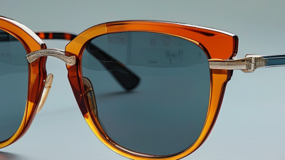 Top Tips for Choosing the Best Sunglasses for Your Needs?