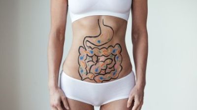 Gut Health.jpg