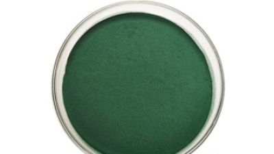 Chlorella Powder 1_副本.jpg
