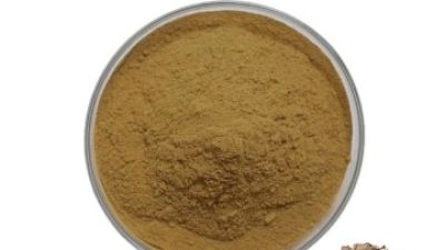 Maitake Mushroom Extract 1_副本.jpg