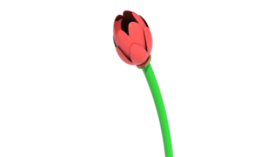 water park sports equipment.png
