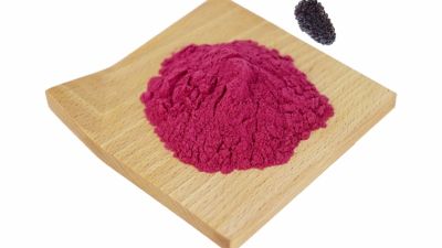 Mulberry Extract.jpg