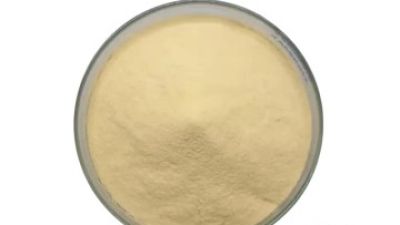 Hemp Protein Powder 1.jpg