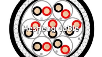 BS5308 Part1 Type2 OS SWA Instrument cable.jpg