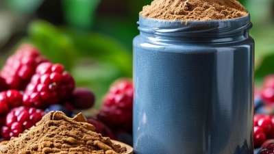 What Are the Benefits of Acai Berry Powder for Your Health?