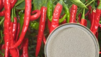 Capsaicine .jpg