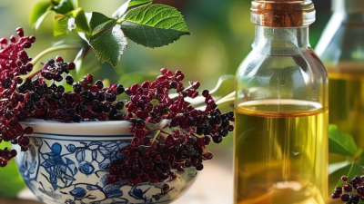 What is Elderberry Extract and How Can It Benefit You?