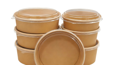 Disposable Paper Salad Bowls with lids.png