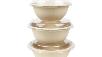 Biodegradable Sugarcane Pulp Bowl.png