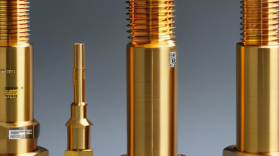 China Top Brass Cable Gland Manufacturer What to Look For?