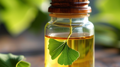 Ginkgo Biloba Extract Benefits and Best Suppliers Worldwide?