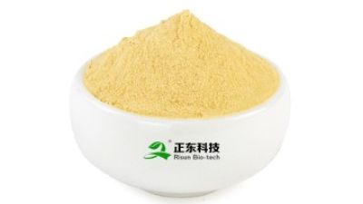 Ginger Extract (Gingerol)(1)