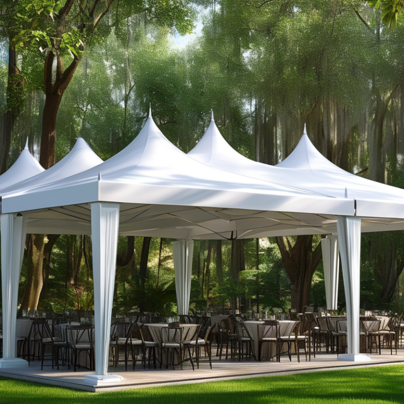 Why Choose Outdoor Canopies for Your Next Event?