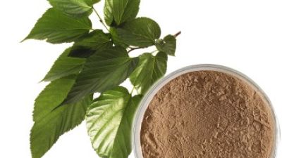 Mulberry Leaf.jpg