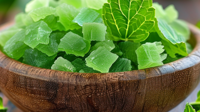 Best Stevia Leaf Extract Benefits for Global Buyers?