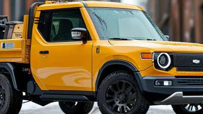 How to Choose the Best Small Electric Truck?