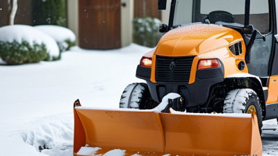 ¿Por qué elegir una quitanieves de jardín para una eliminación eficiente de la nieve?