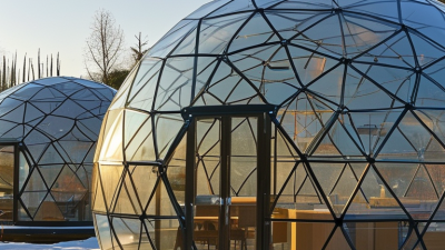 2026 Best Clear Geodesic Dome Price and Buying Guide