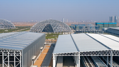 2026 Top Steel Framework Types for Global Buyers?