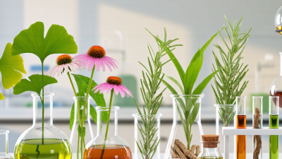 Welke soorten plantenextracten zijn in 2026 het meest geschikt voor internationale kopers?