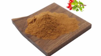 rosehip-extract.png