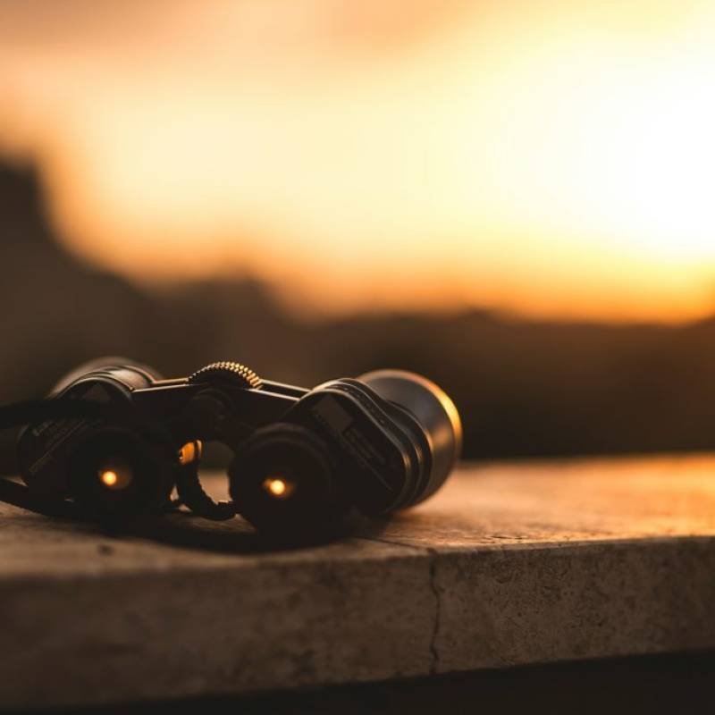Best Thermal Binoculars for Long-Range Detection (2026 Buyer's Guide)