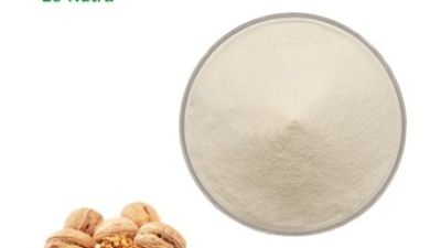 Hydrolyzed Walnut Protein.jpg