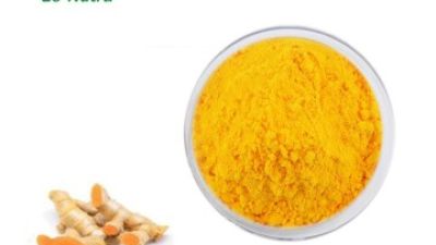 Turmeric-Extract-Curcumin.jpg