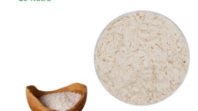 Rice-Protein-Powder.jpg