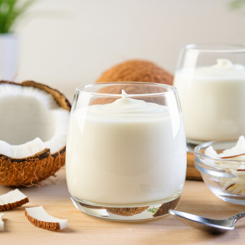 China Top Coconut Yoghurt Starter Supplier Manufacturer
