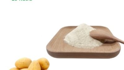 Hydrolzyed Potato Protein.jpg