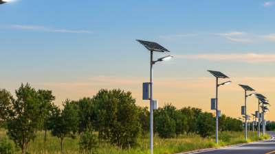 What Are Solar Street Lamps and How Do They Work?