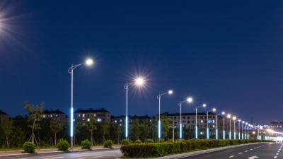 Why Choose LED Street Lights for Global Buyers?