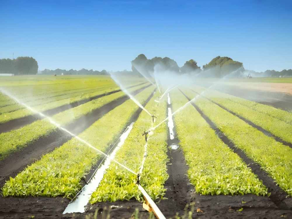 Revolutionary Savings: Solar Water Pumps for a Sustainable Future